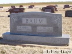 Jacob J Baum