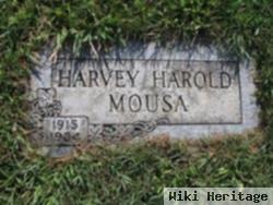 Harold H Mousa