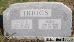 John Triggs