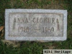 Anna Cechura