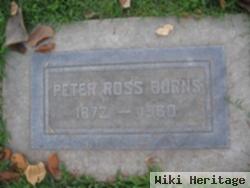 Peter Ross Burns