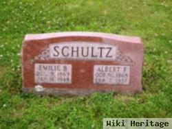 Albert F Schultz