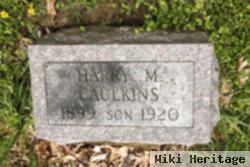 Harry Marvel Caulkins