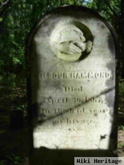 Wilbour Hammond