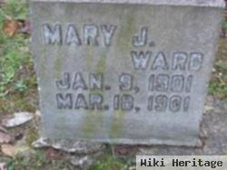 Mary J Ward