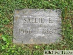 Sallie Ellen Lutz