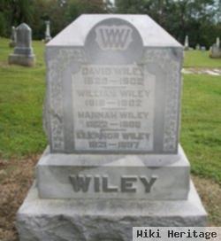 William Wiley