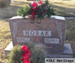 Harry Theodore Horak