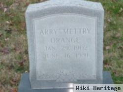 Arry Mettry Orange