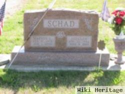 Suellen Lynch Schad