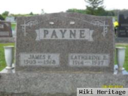 Katherine E Payne