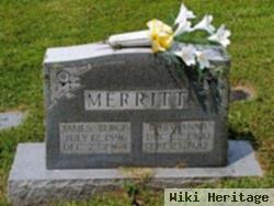 James Burgis Merritt