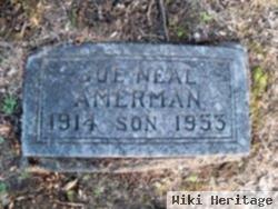 Joe Neal Amerman