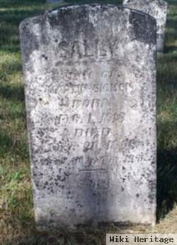 Sarah "sally" Hefner Sigmon