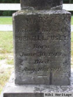 Mary A. Pusey