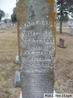 Mary Ann Twitchell Stearns