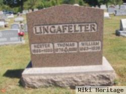 Thomas Lingafelter