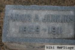 Annis A. Jenkins