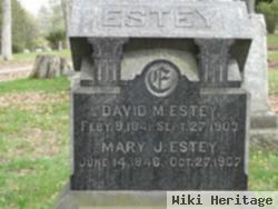 David M Estey