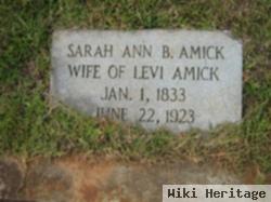 Sarah Ann Barbara Stockman Amick