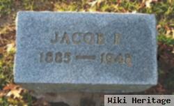 Jacob P Fenton