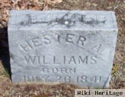 Hester Ann Purchase Williams