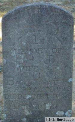 P. J. Barrineau