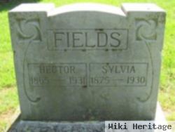 Hector Fields