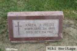 Anita J Feldt