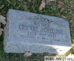 Cricket Shane Schelling