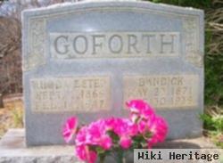 Rhoda Hester Estep Goforth