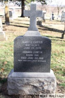 Mary Ellen Curtin