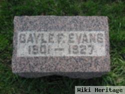 Gayle F Evans