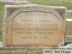 Martha Jane Salter Parrish