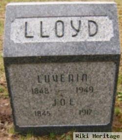 Luvenia Lloyd