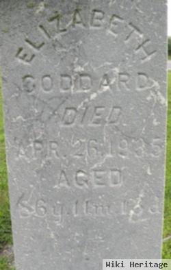 Elizabeth N. Johnson Goddard