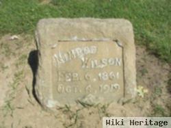 Nimrod Wilson