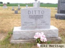 William Alfred Ditto