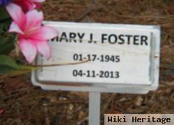Mary J Foster