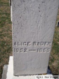 Alice Bauer