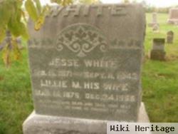 Lillie M Poage White