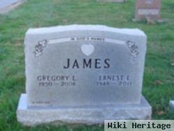 Gregory L James