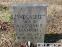 James Albert Manning