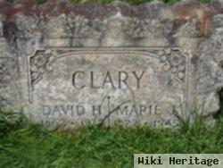 David H Clary