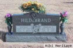 Charles Eli Hildebrand, Jr