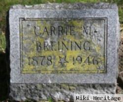 Carrie M Breining