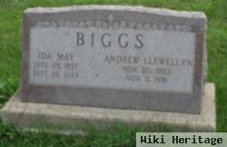 Andrew Llewellyn Biggs