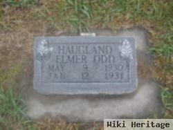 Elmer Odd Haugland