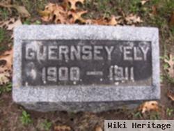 Guernsey Lee Ely