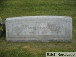 Elizabeth Eckhardt Stein